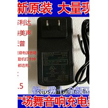 适用特美声 红日 浪庭 飞扬电瓶音响音箱15V2A适配器原装充电器